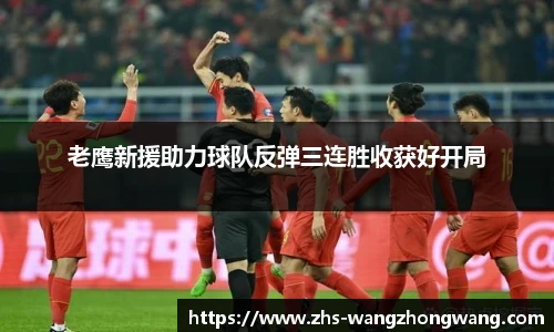 王中王资料大全